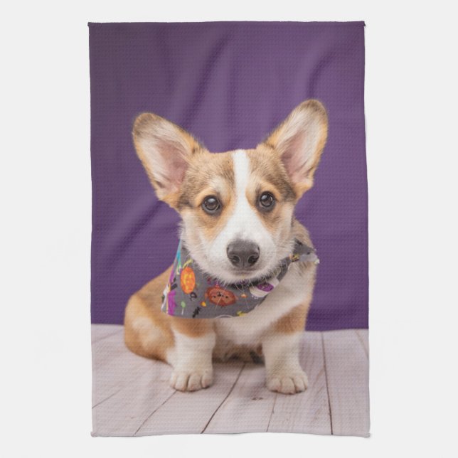 Cutest Baby Animals | Halloween Corgi Kitchen Towel (Vertical)