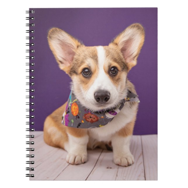 Cutest Baby Animals | Halloween Corgi Notebook (Front)