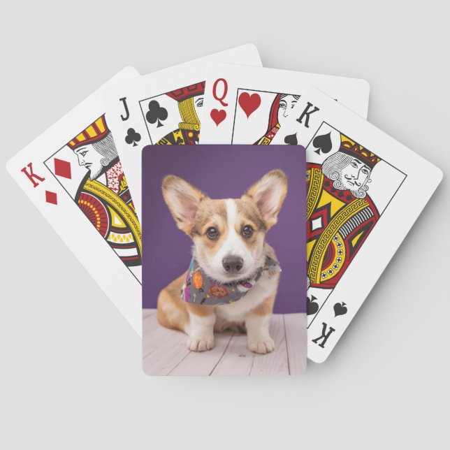Cutest Baby Animals | Halloween Corgi Poker Cards (Back)