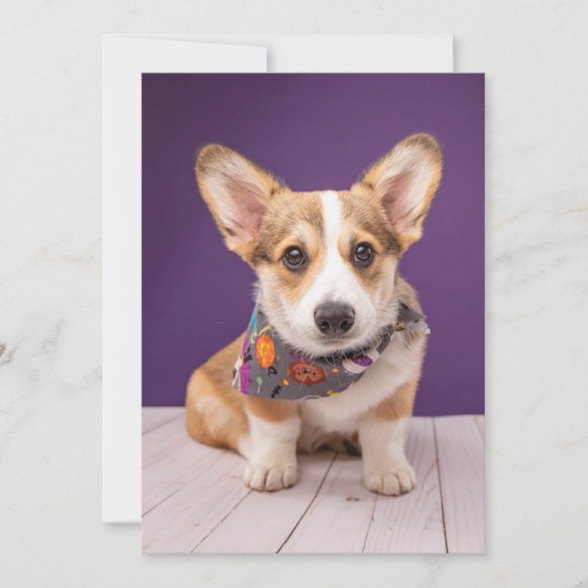 Cutest Baby Animals | Halloween Corgi Thank You Card (Front)