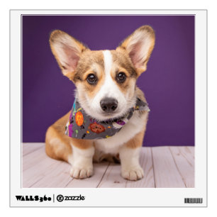 Cutest Baby Animals   Halloween Corgi Wall Decal
