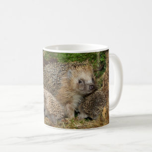 Cutest Baby Animals Hedgehog Family Coffee Mug