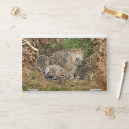 Cutest Baby Animals  Hedgehog Family HP Laptop Skin