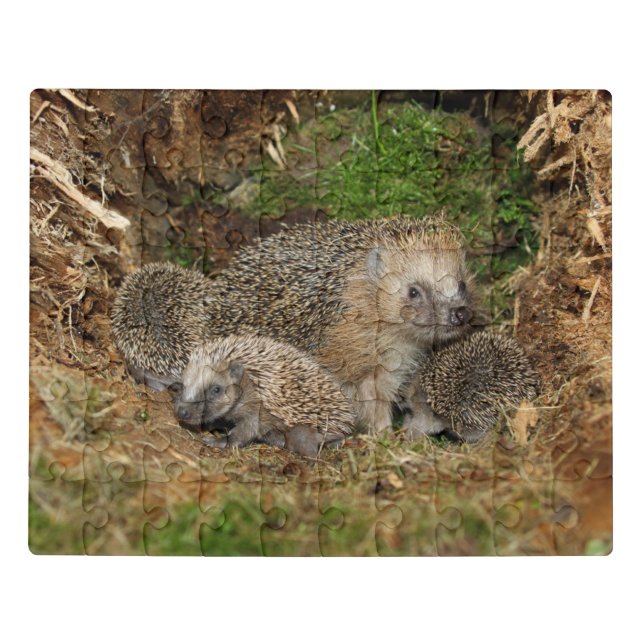 Cutest Baby Animals | Hedgehog Family Jigsaw Puzzle (Puzzle Horizontal)