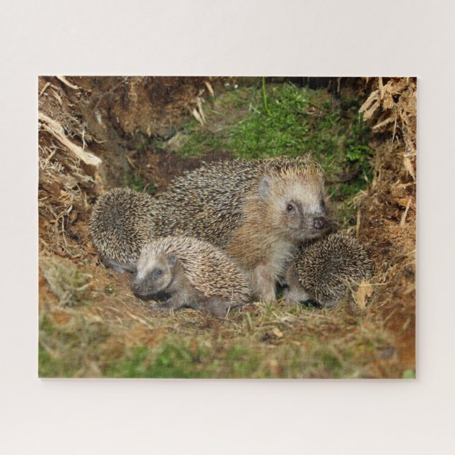 Cutest Baby Animals | Hedgehog Family Jigsaw Puzzle (Horizontal)
