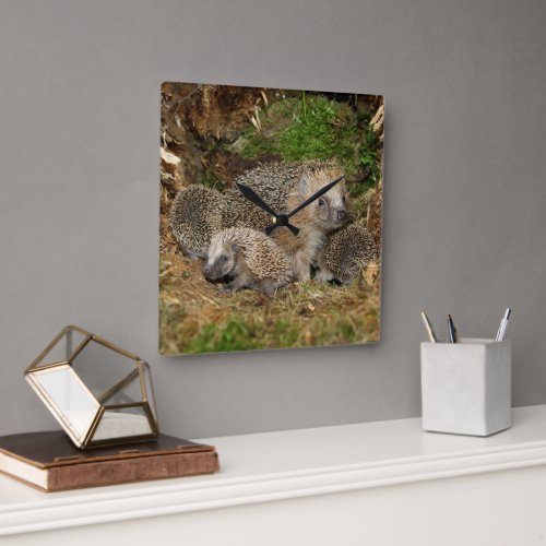 Cutest Baby Animals  Hedgehog Family Square Wall Clock