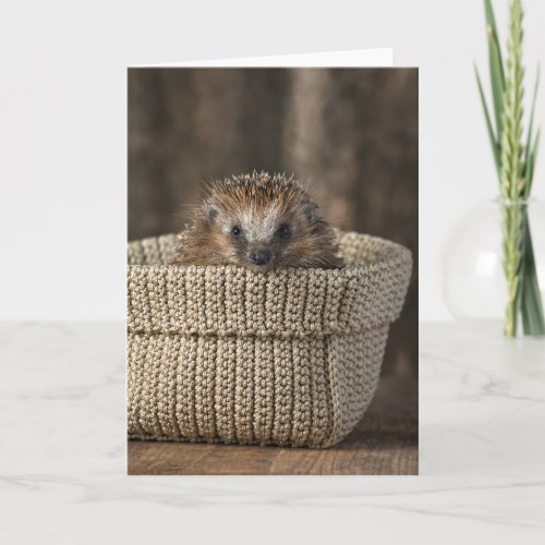 Cutest Baby Animals  Hedgehog in a Basket Card