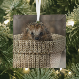 Cutest Baby Animals Hedgehog in a Basket Glass Ornament