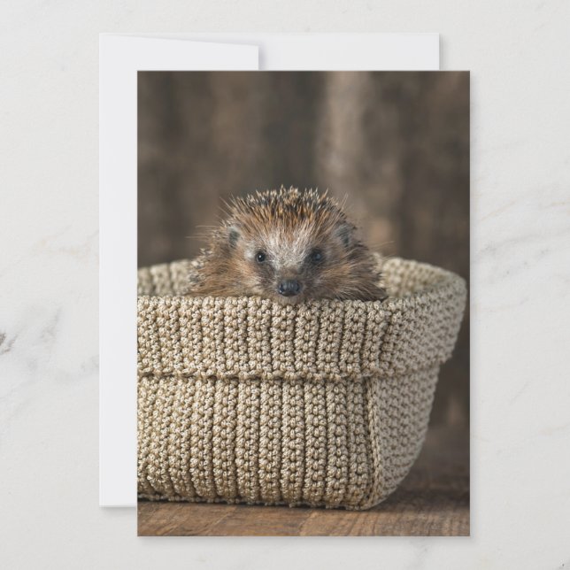 Cutest Baby Animals | Hedgehog in a Basket Thank You Card (Front)