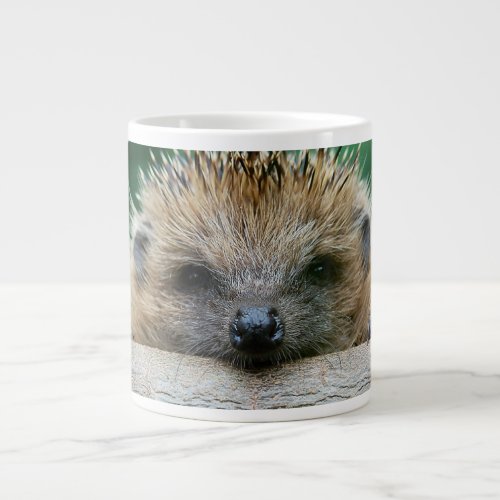 Cutest Baby Animals  Hedgehog Smile Giant Coffee Mug
