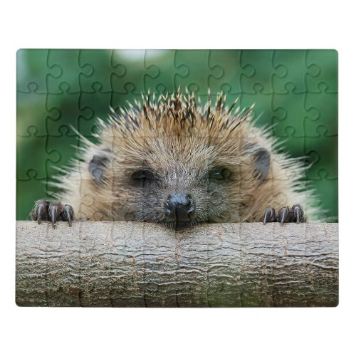 Cutest Baby Animals  Hedgehog Smile Jigsaw Puzzle
