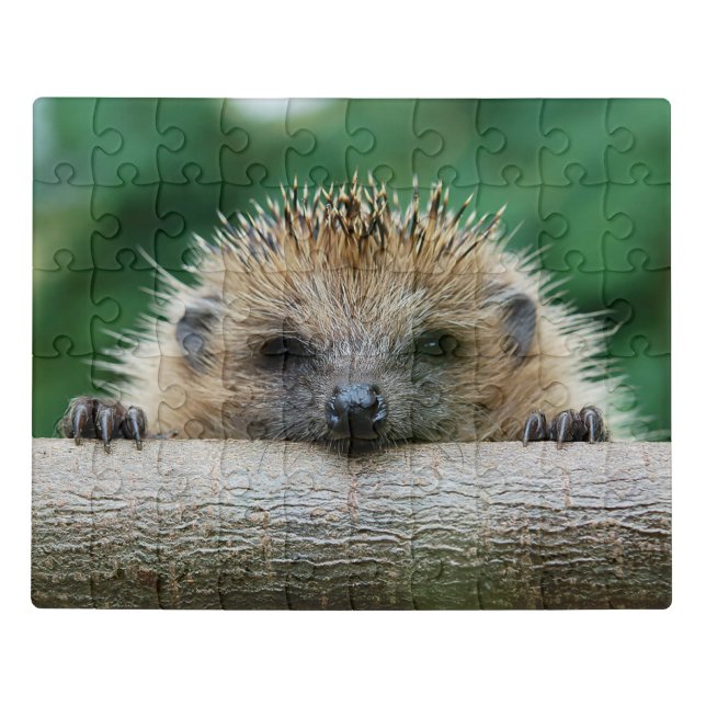 Cutest Baby Animals | Hedgehog Smile Jigsaw Puzzle (Puzzle Horizontal)