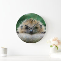 Cutest Baby Animals | Hedgehog Smile