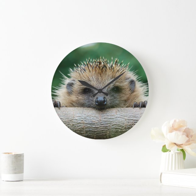 Cutest Baby Animals | Hedgehog Smile Large Clock (Home)