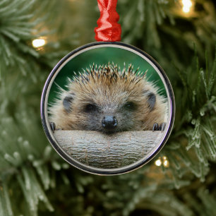 Cutest Baby Animals Hedgehog Smile Metal Ornament
