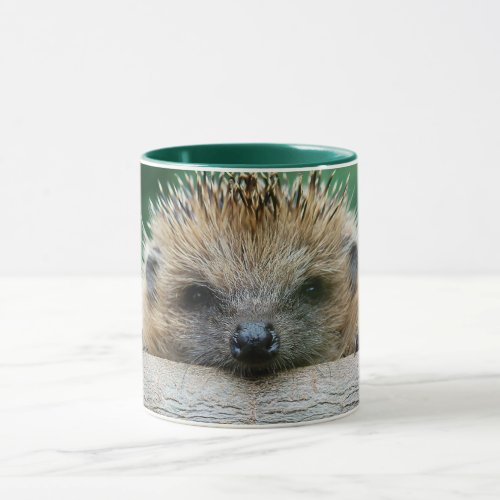 Cutest Baby Animals  Hedgehog Smile Mug