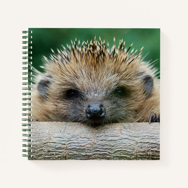 Cutest Baby Animals | Hedgehog Smile Notebook (Front)