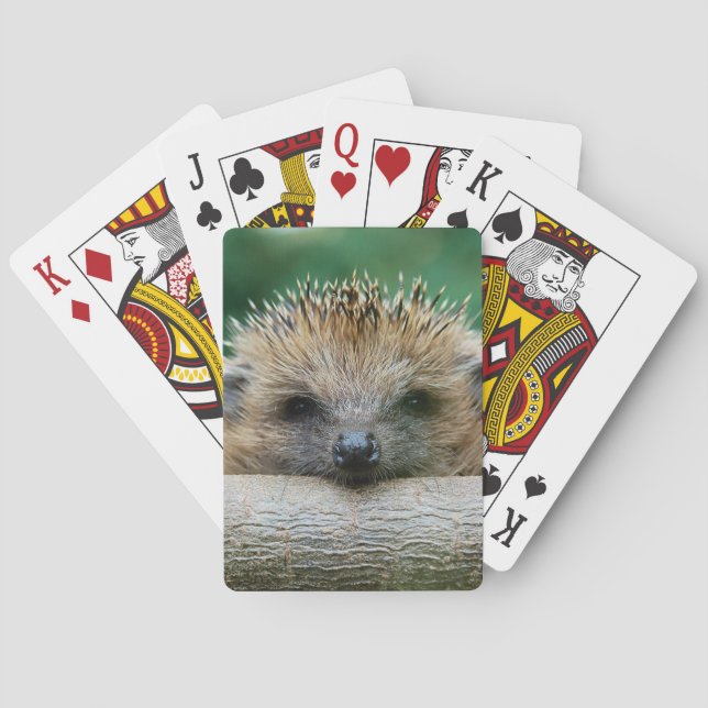 Cutest Baby Animals | Hedgehog Smile Poker Cards (Back)