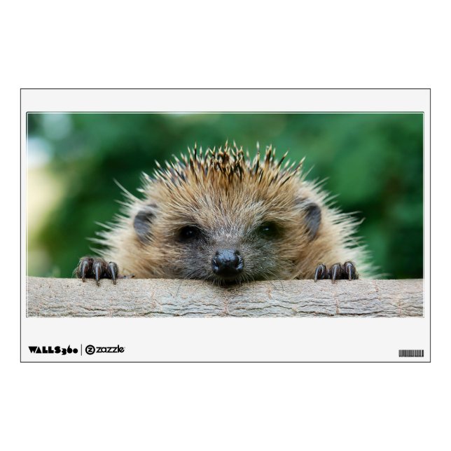 Cutest Baby Animals | Hedgehog Smile Wall Decal (Front)