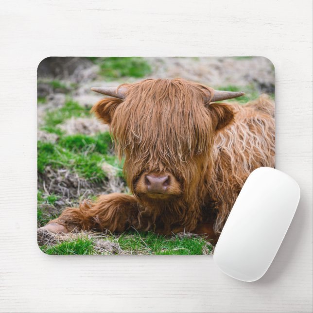 Cutest Baby Animals | Highland Cow Calf Mouse Pad (With Mouse)