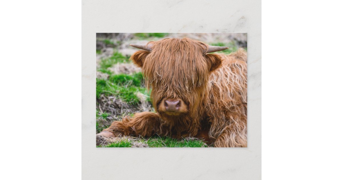 Japanese Watercolor Highland Cow Keychain