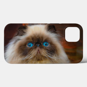 Cutest Baby Animals Himalayan Cat iPhone 13 Case