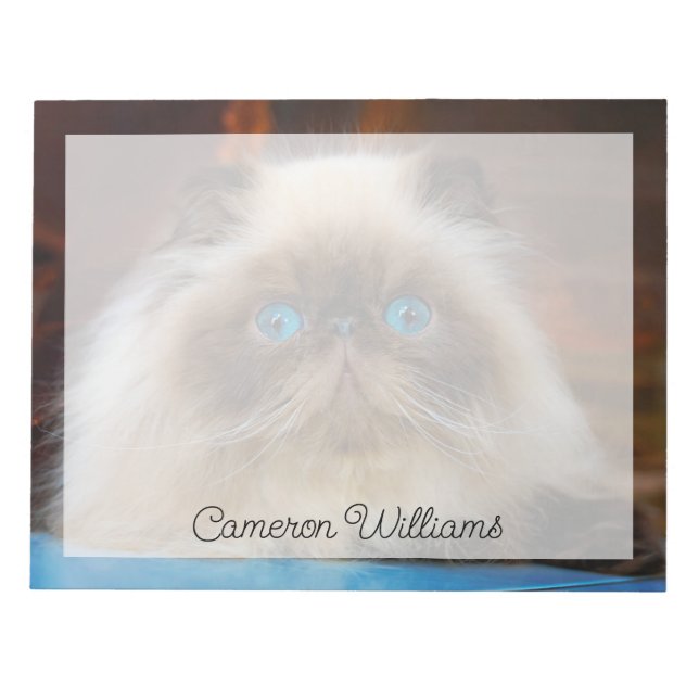Cutest Baby Animals | Himalayan Cat Notepad (Front)