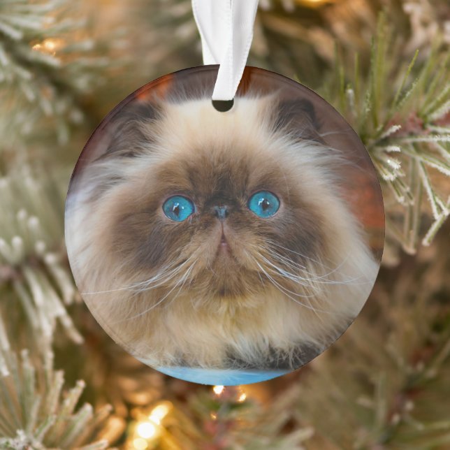 Cutest Baby Animals | Himalayan Cat Ornament (Tree)
