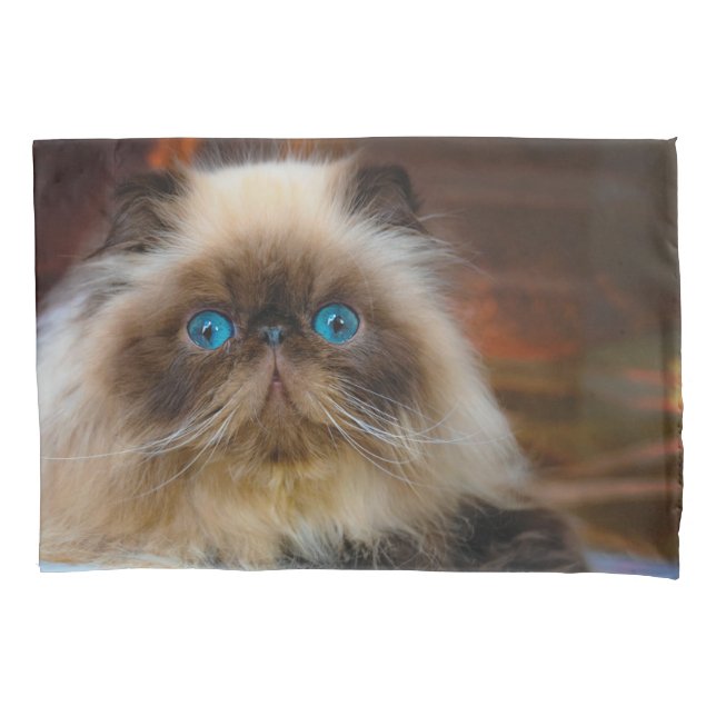 Cutest Baby Animals | Himalayan Cat Pillow Case (Front)