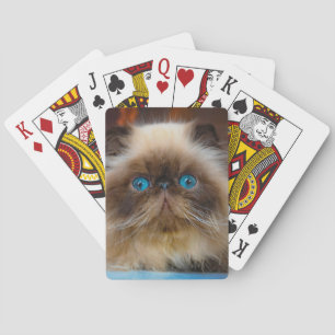 Cutest Baby Animals Himalayan Cat Poker Cards