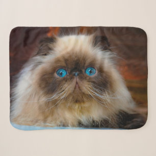 Cutest Baby Animals Himalayan Cat Sherpa Blanket