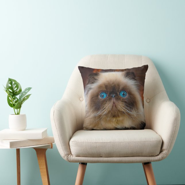 Cutest Baby Animals | Himalayan Cat Throw Pillow (Chair)