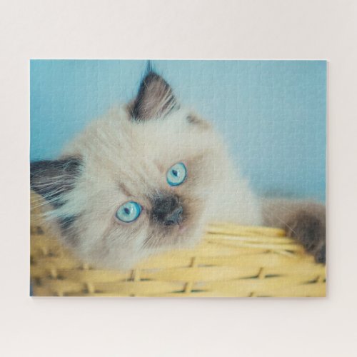 Cutest Baby Animals  Himalayan Seal Point Cat Jigsaw Puzzle