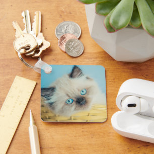 Cutest Baby Animals   Himalayan Seal Point Cat Keychain