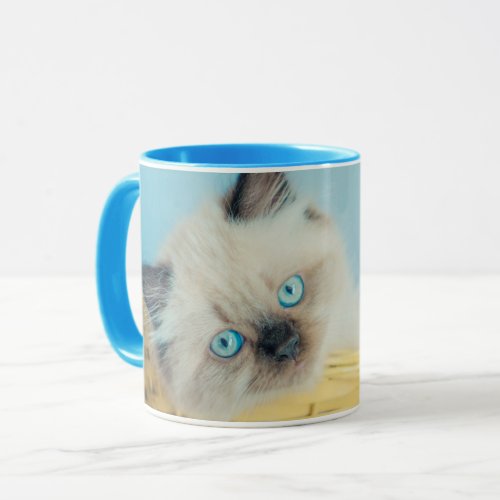 Cutest Baby Animals  Himalayan Seal Point Cat Mug