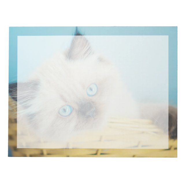 Cutest Baby Animals | Himalayan Seal Point Cat Notepad (Front)