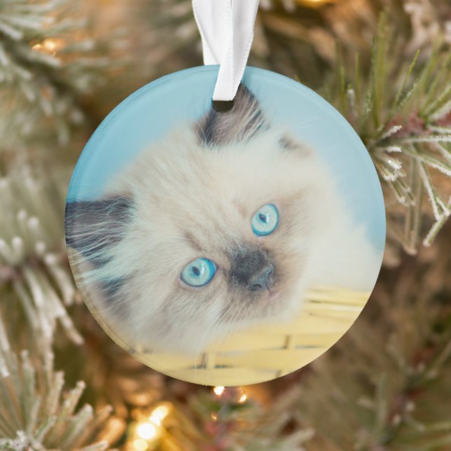 Cutest Baby Animals | Himalayan Seal Point Cat Ornament (Tree)