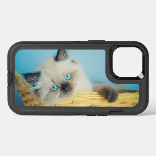 Cutest Baby Animals  Himalayan Seal Point Cat iPhone 13 Case