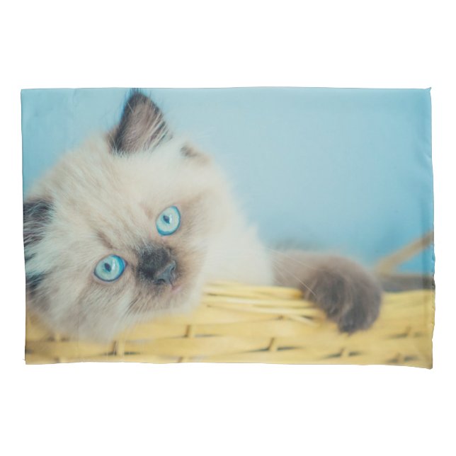 Cutest Baby Animals | Himalayan Seal Point Cat Pillow Case (Front)