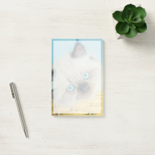Cutest Baby Animals   Himalayan Seal Point Cat Post-it Notes