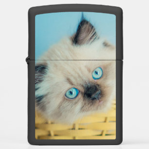 Cutest Baby Animals Himalayan Seal Point Cat Zippo Lighter