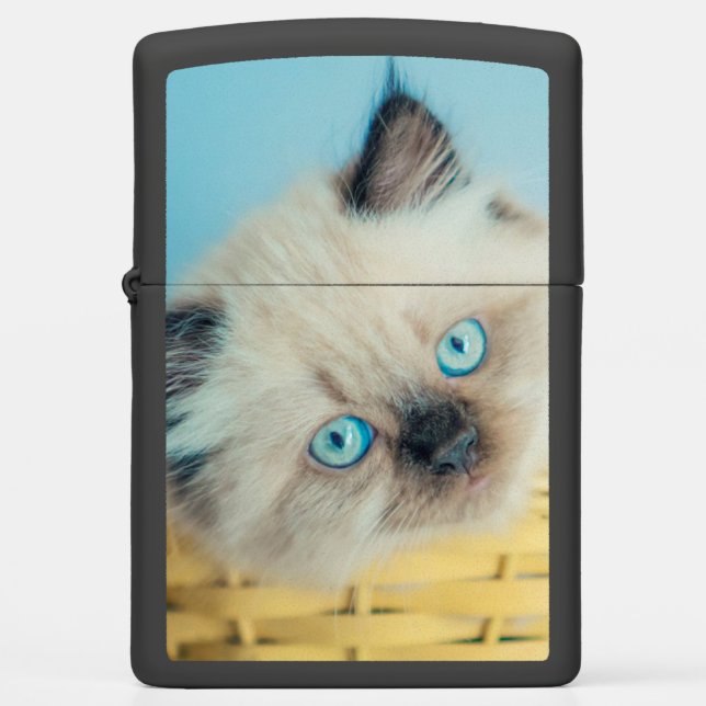 Cutest Baby Animals | Himalayan Seal Point Cat Zippo Lighter (Front)