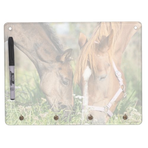 Cutest Baby Animals  Horse Colt Dry Erase Board With Keychain Holder