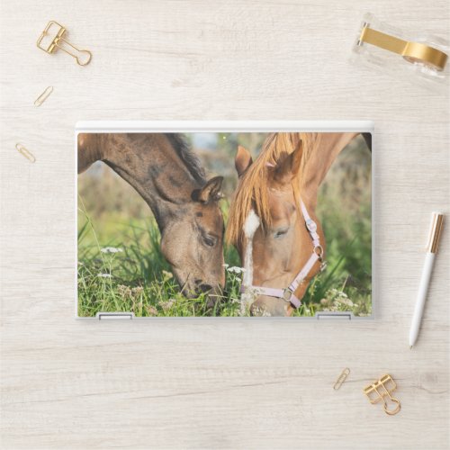 Cutest Baby Animals  Horse Colt HP Laptop Skin