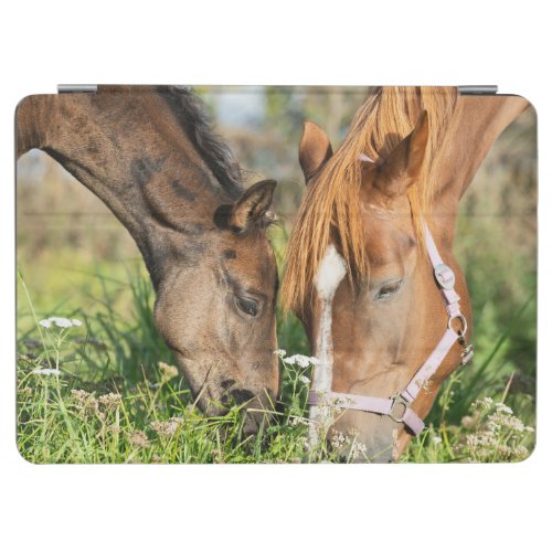 Cutest Baby Animals  Horse Colt iPad Air Cover