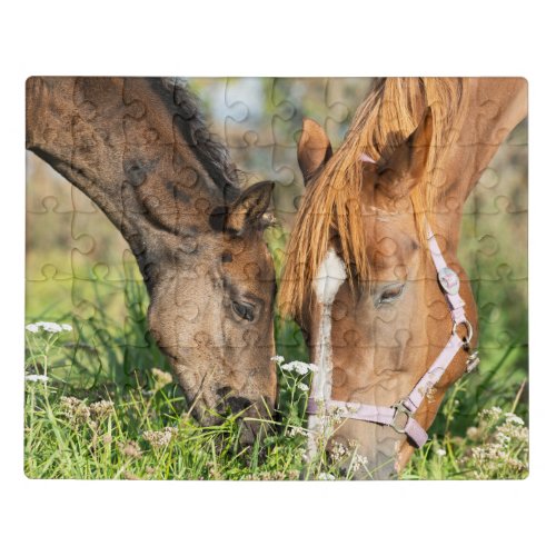 Cutest Baby Animals  Horse Colt Jigsaw Puzzle