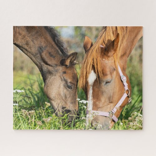 Cutest Baby Animals  Horse Colt Jigsaw Puzzle