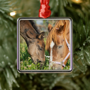 Cutest Baby Animals Horse Colt Metal Ornament
