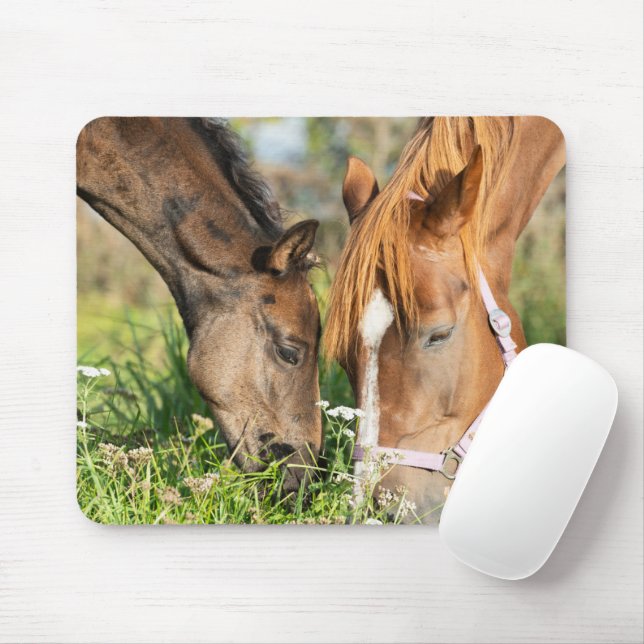 Cutest Baby Animals | Horse Colt Mouse Pad (With Mouse)