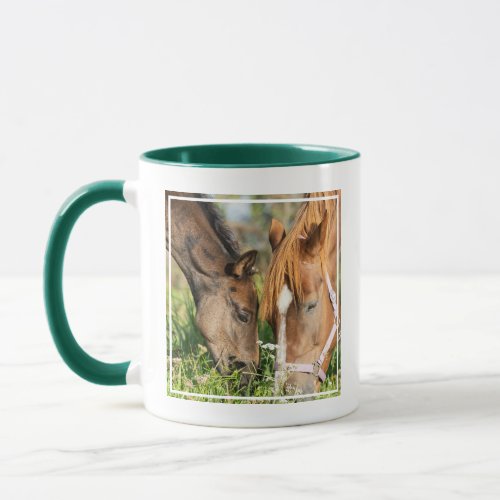 Cutest Baby Animals  Horse Colt Mug